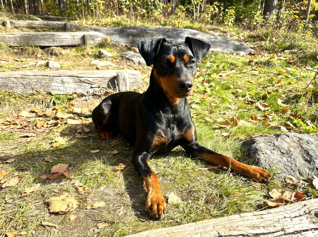 Tina, Bild 4