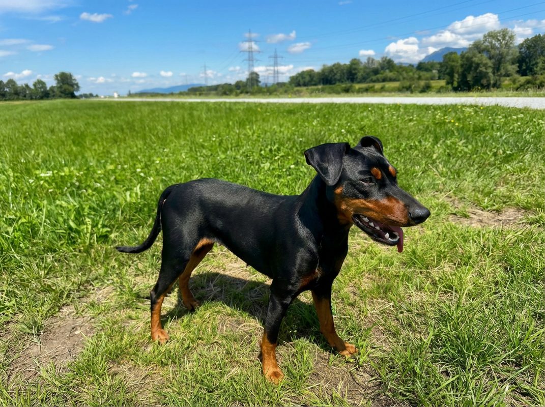Tina, Valentina vom Bächligraben