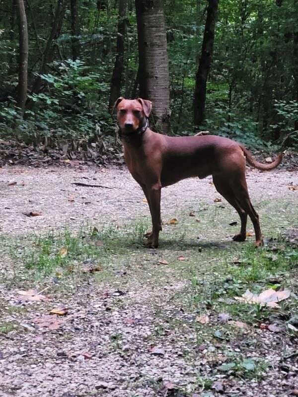 Toni, Bild 3