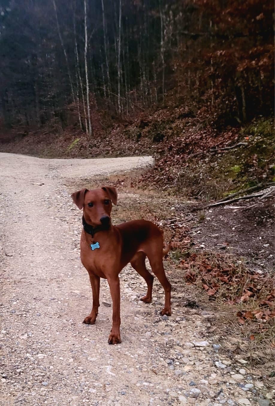 Toni, Bild 5